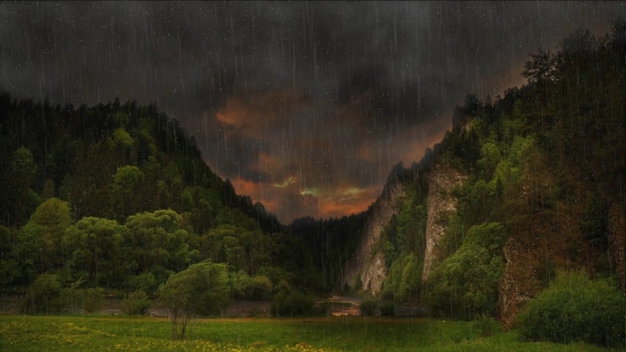 Relaxing Rain Sounds - Peaceful Forest Rain- HD 1080p - Nature Video