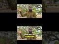Kwame Nkrumah: From UGCC to Independence Now! #shorts