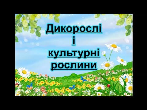 Рослини. Дикорослі і культурні рослини. Презентація