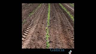 Una normativa flexible para las distintas realidades del campo