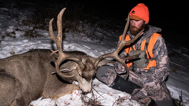 Hunting Mule Deer Bucks in the Late Season - TACTICS with Brady Miller