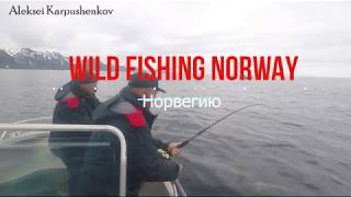 РЫБАЛКА И ПОДВОДНАЯ ОХОТА В НОРВЕГИИ.Wild Fishing Norway