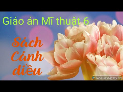 Video: Mạng nhện nhiều màu: tác phẩm dệt openwork của Akiko Ikeuchi