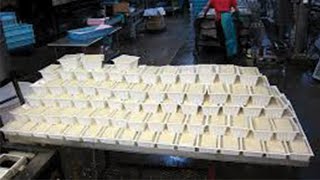 How Tofu is Made - Tofu Food Factory -  Factory Tour