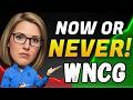 Nine Chronicles (WNCG) Crypto: Exploding Web3 MMORPG Update!