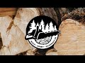Baum fällen, gerade Fichte, Teil 2 Rückweiche und Rückweicheort🪚🌲
