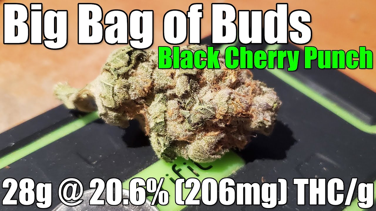 Big Bag of Buds Black Cherry Punch Review 28g 20.6 (206mg) THC