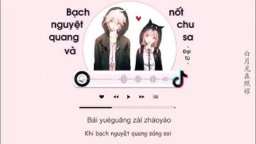 [Vietsub] Bạch Nguyệt Quang Và Nốt Chu Sa full Tiktok - Đại Tử   白月光与朱砂痣 - 大籽