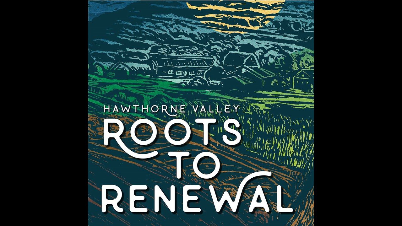 Episode Four: A Flowing Conversation with Renowned Urban Designer and Water Artist Herbert Dreiseitl