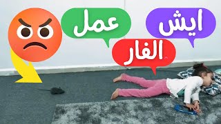 ايش عمل الفار في جوجو ؟