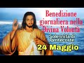 Benedizione nella Divina Volontà con don Umberto Dall'Igna 24 Maggio 2026 Pentecoste Teleradiokolbe