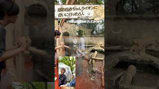B&amp;ZAI official【富士サファリパーク】ライオンの赤ちゃんにメロメロ㌠