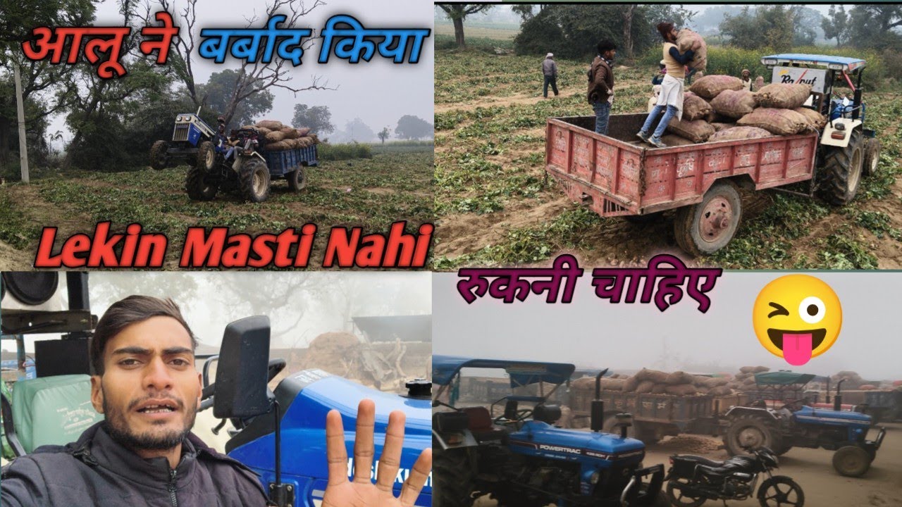 Aaj Aaloo Ne Rikart Tod Diya || Aaj aalo 200 rupaye bika 