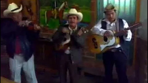 Trio Sorpresa Huasteca - Corrido de Rogelio Gomez