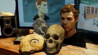 123D catch ( photofly ) rendered with Octane render screenshot 3