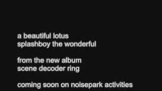 a beautiful lotus - splashboy the wonderful