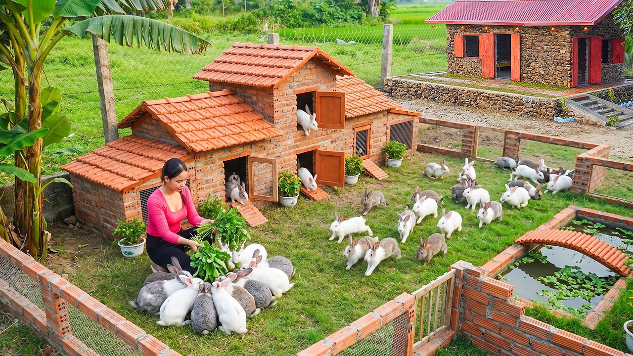 Building a Rabbit Farm: DIY Brick Hutch and Raising Dozens of Cute ...