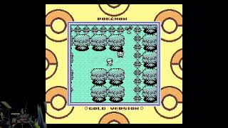 Ilex Forest | Pokemon Gold