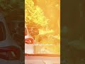 غريزة الأمومة.. دبّة تهاجم سيارة سياح #shortvideo #shorts #short #shortsclip #shortscraft