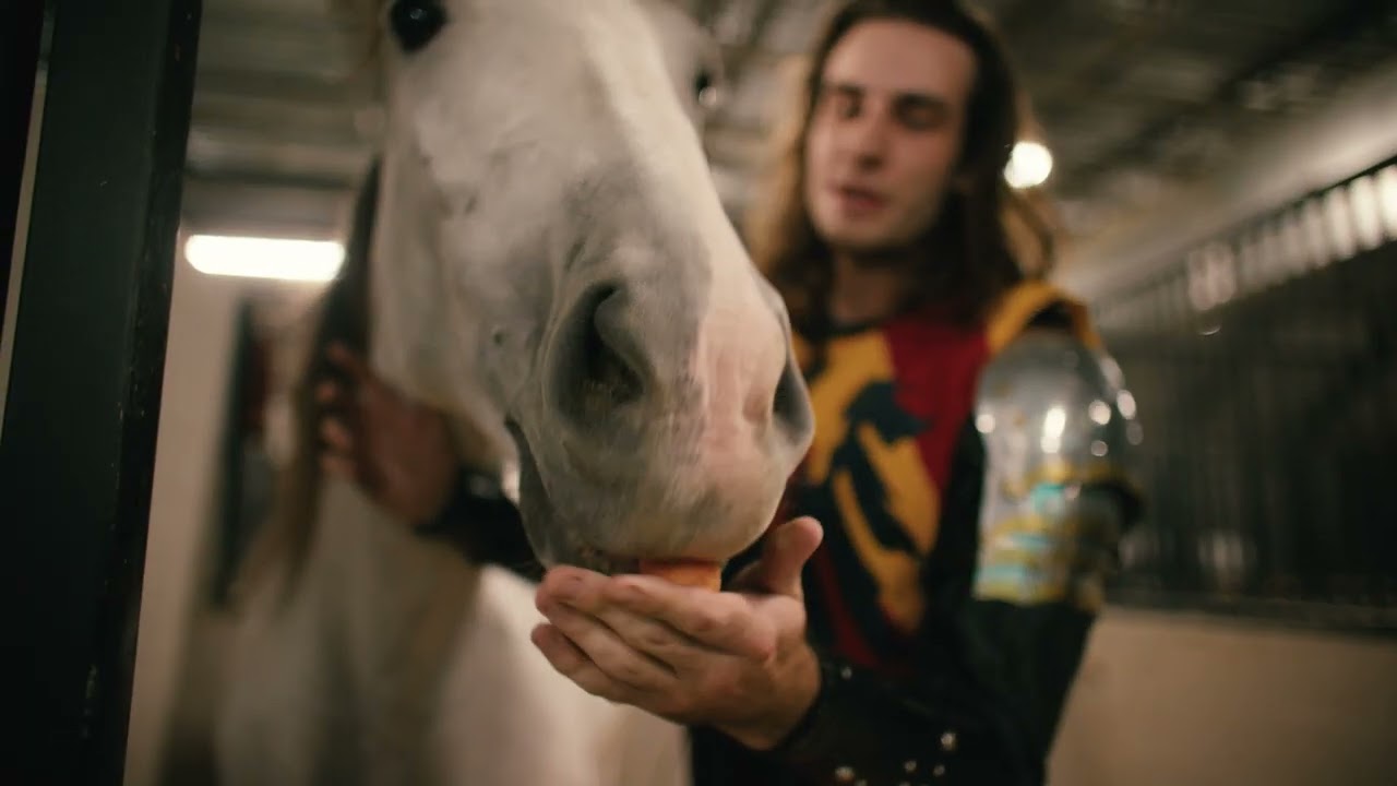 Horse Care at Medieval Times Scottsdale
