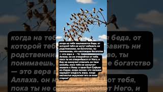 26 октября 2025 г.  #faith #shorts #Islam #ислам #религия #вера #напоминание #коран #иман #знание
