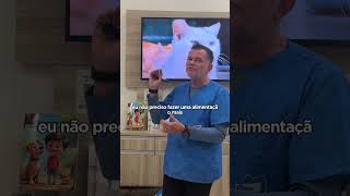 GATO IDOSO e GATO FILHOTE têm isso em COMUM e pode LEVAR A MORTE! DESCUBRA AGORA