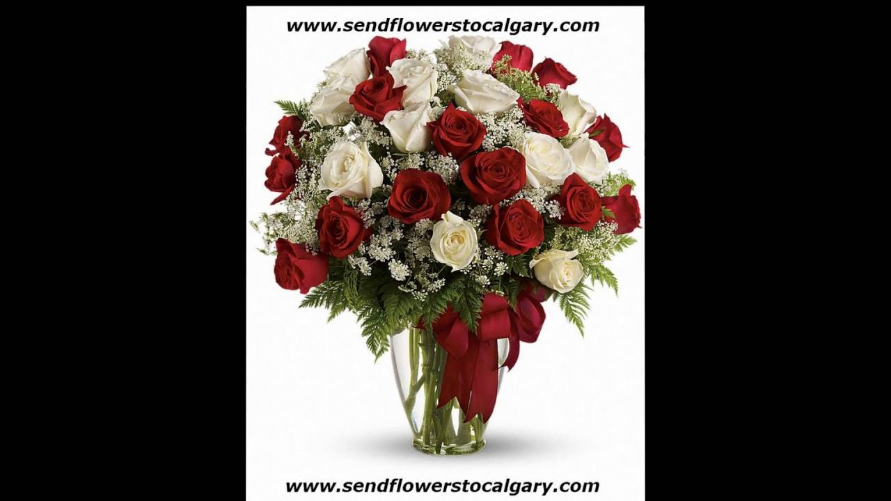 Send flowers from Netherlands to Calgary Alberta Canada YouTube