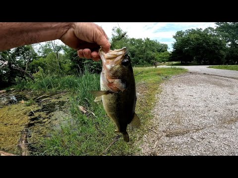 Bass Fishing Missouri Strip Pits