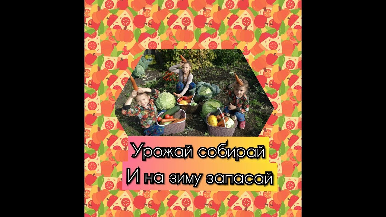 Урожай собирай песенка для детского сада "Урожайная"