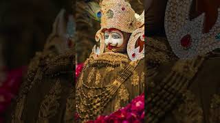jay shree shyam 🙏#shyam #shorts #bhajleshyam #shreeshyamlivebhagati #live #vlog #viral #viralvideo
