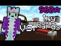 beating tryhards (solo bedwars)