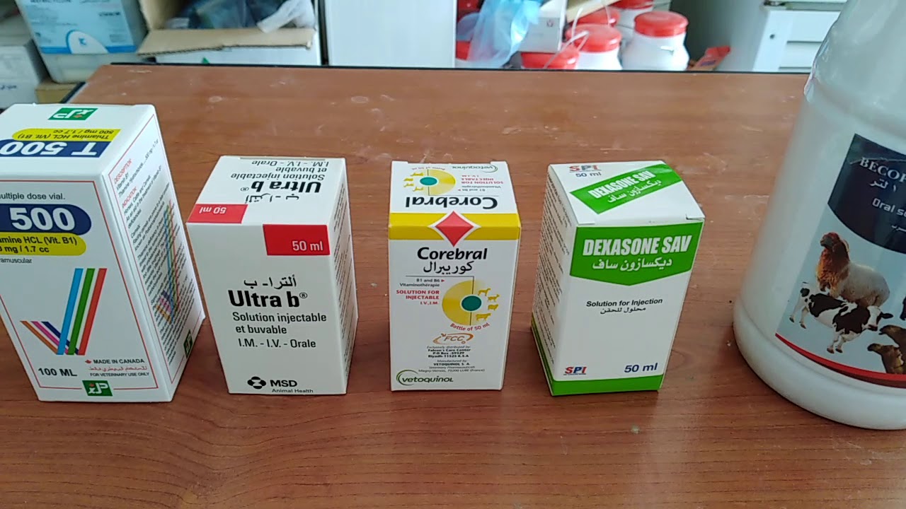 نقص فيتامين ب١ (الصرع _ الطير)