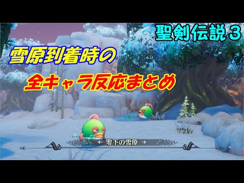 雪国出身なのにアンジェラは薄着【聖剣伝説３リメイク】