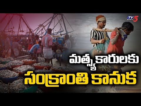 మత్స్యకారులకు సంక్రాంతి కానుక - Fishing Landing Centers In Nakkapalli & Rajayyapeta | Vishaka | TV5 - TV5NEWS