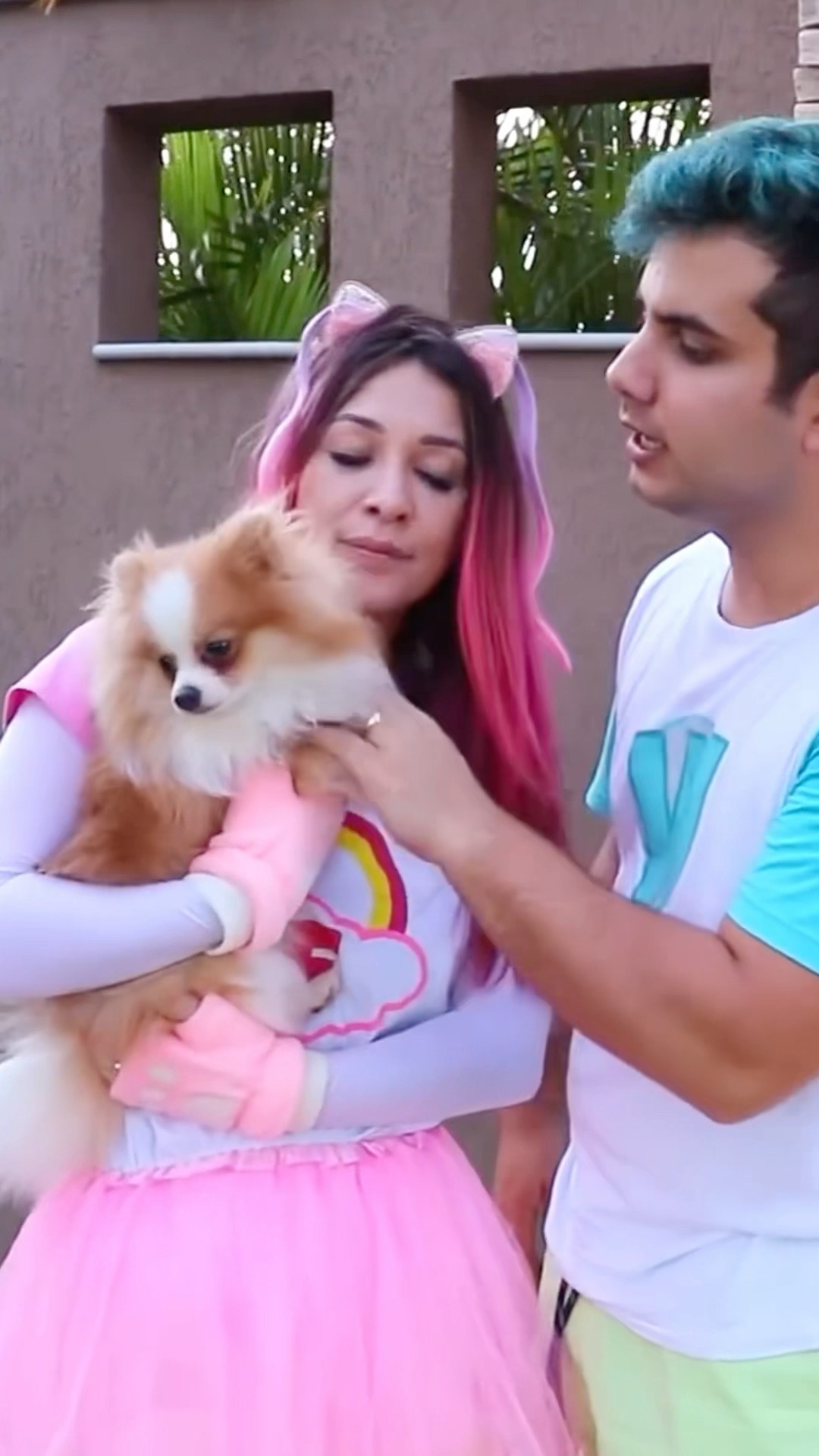 O CACHORRO SUMIU