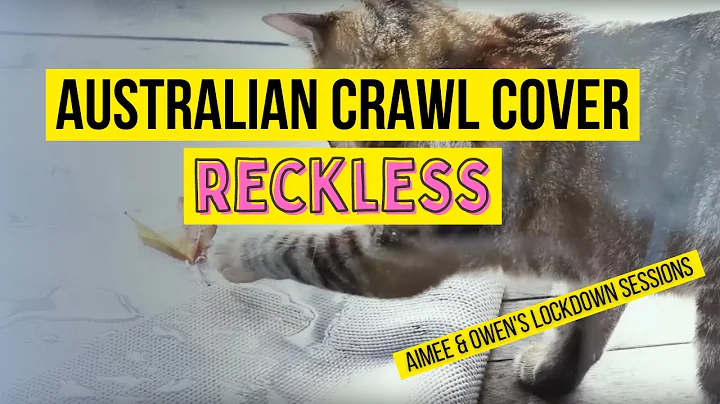 Aimee and Owen - Reckless
