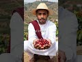 Yemen's 70° Cliff Coffee Farms Will Leave You Speechless #coffee #farming #yemen