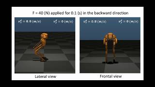 HZD Inspired Reinforcement Learning for 3D Bipedal Walking