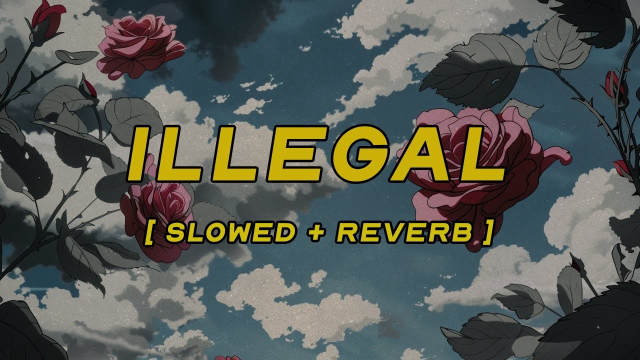 pinkpantheress - illegal [ slowed + reverb ] (lyrics) - YouTube