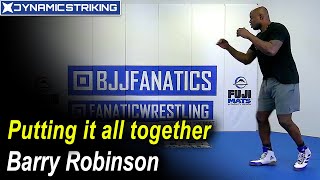 Celebrity Putting It Together Combined Shadowboxing by Barry Robinson Profile