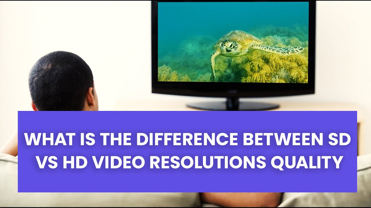 Sd Vs Hd The Difference In The Two Video Resolution Quality Youtube