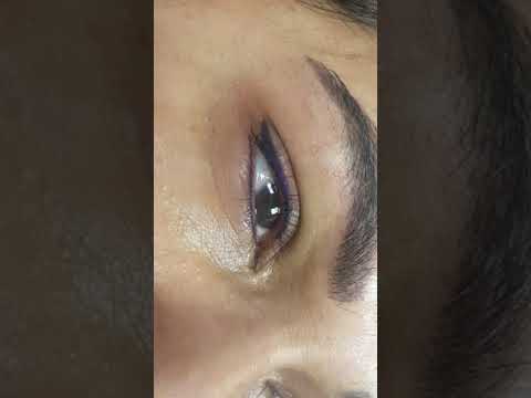 Healed Microbladed Eyebrows + fresh Eyeliner PMU by El Truchan @ Perfect Definition