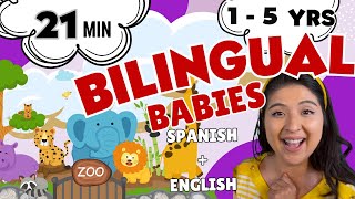 Spanish For Babies and Toddlers - Español Para Bebes Con Ms Aimee -  @LittlesBilingualBuddies ​ screenshot 2