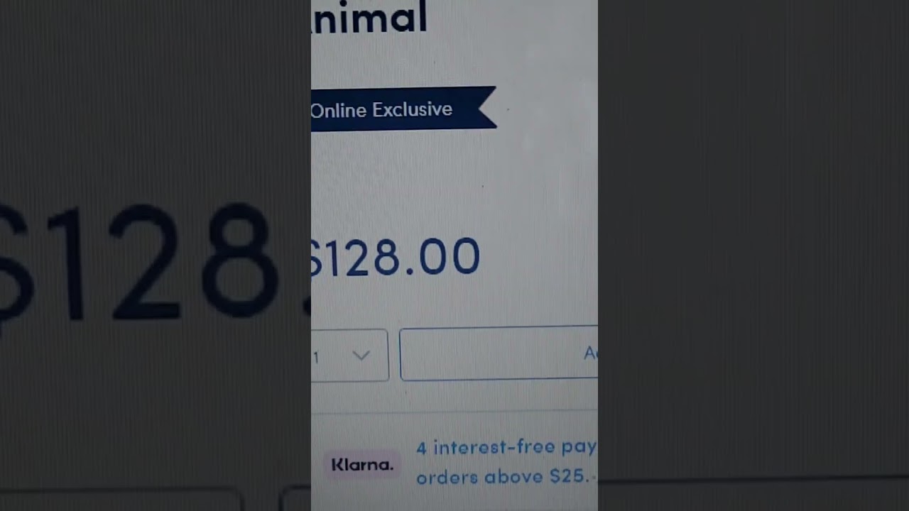 Build A Bear Giant Jumbo Pumpkin Kitty Viral Halloween Plush