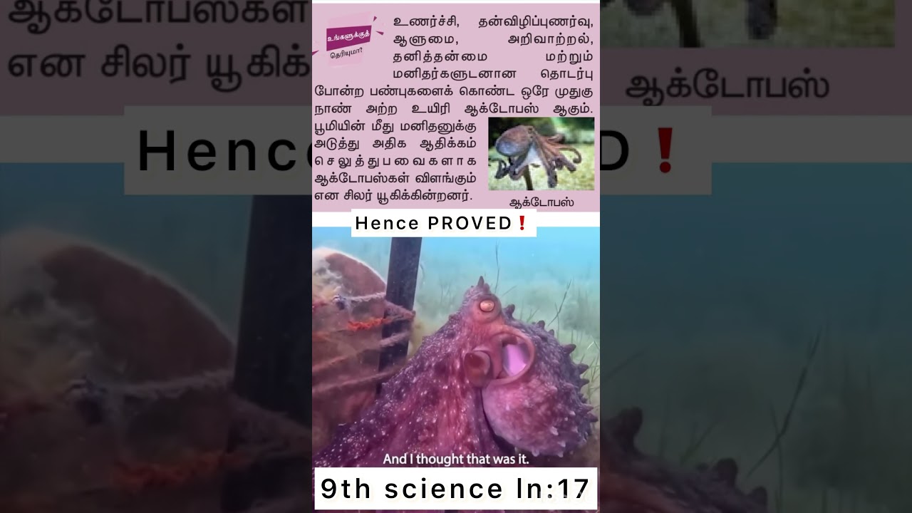 INTELLIGENCE OF OCTOPUS😨 9th science (Biology-ln-17) 