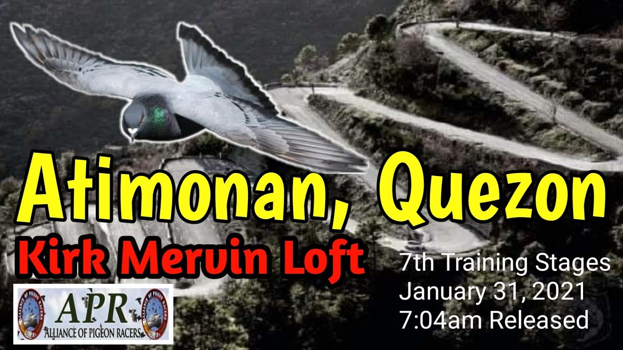 Kirk Mervin Loft | Atimonan, Quezon. 7th Training Stage