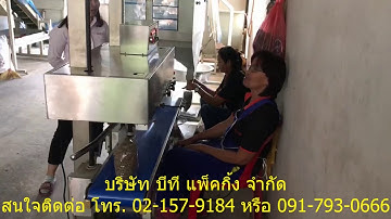 เครื่องซีลสายพานต่อเนื่องแนวตั้ง รุ่น FRM-1120LD