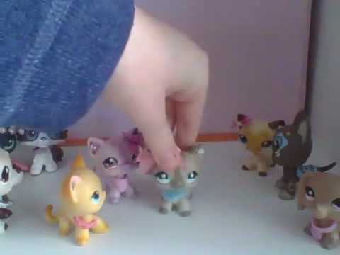 ** LPS: Obsessed with clothing