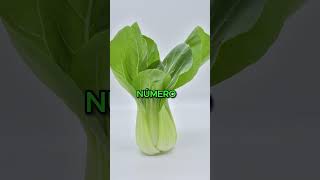 TOP 3 VERDURAS Más RARAS Del Mundo | PARTE 2 | Zarpado |