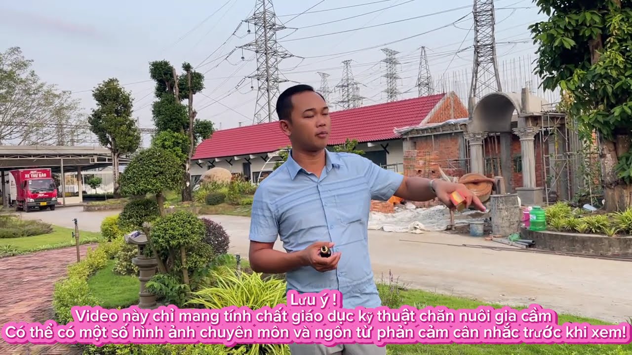 Phương thức nuôi gia cầm đạt thể trạng tốt và top hoa hậu Duyên Ti 28/1/26